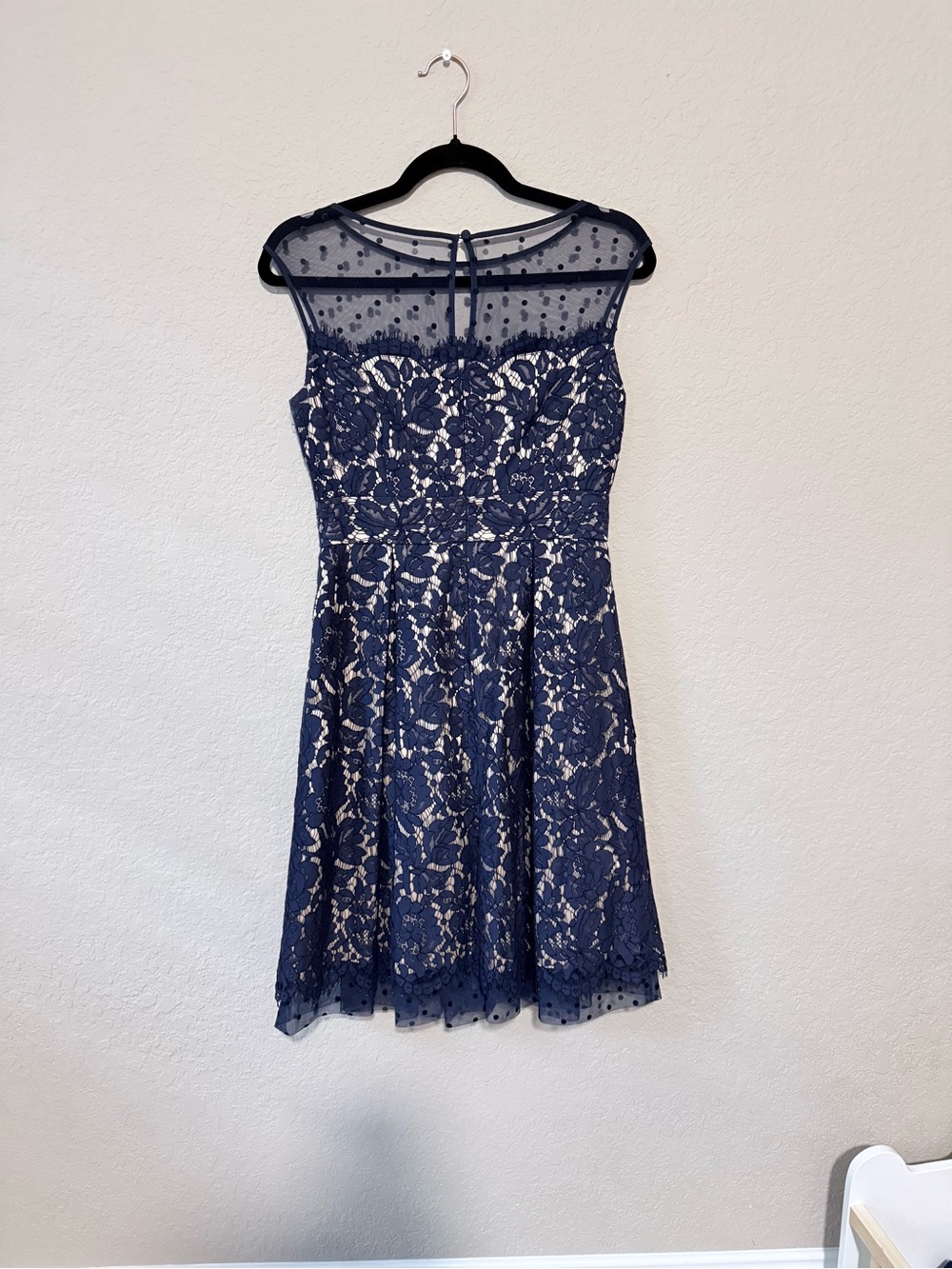 Eliza J Navy Lace Fit & Flare Dress with Sheer Polka Dot Yoke